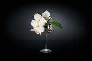 Eternity Coppa Minimes Vanda, Arrangement floral sur gobelet en verre