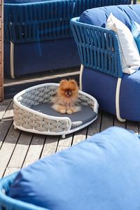 DOG BED, Mini canapé pour chiens, pour l'extérieur