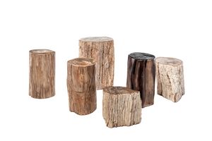Fossil 0462, Petites tables en bois pétrifié