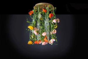 Flower Power Poppy Round, Lustre design floral