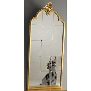 Degas RA.0835.A, Grand miroir � panneau V�n�tie de style XVIIIe si�cle