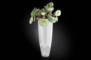 Tokio Composition, Vase décoratif