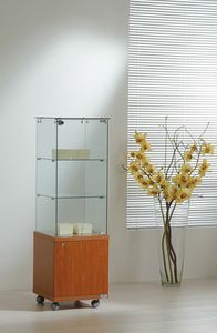 Laminato Light 4/14M, Vitrine, avec meuble bas en bois