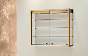 TMetal TM/95P, Vitrine murale au design lgant