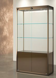 TMetal TM/95VM, Vitrine pour magasins ou muses